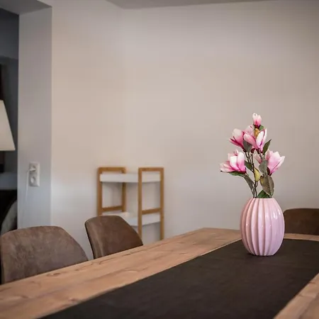 Appartement Amelies Mountain View *