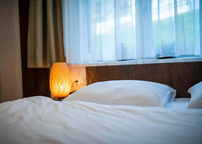 Amelies Mountain View